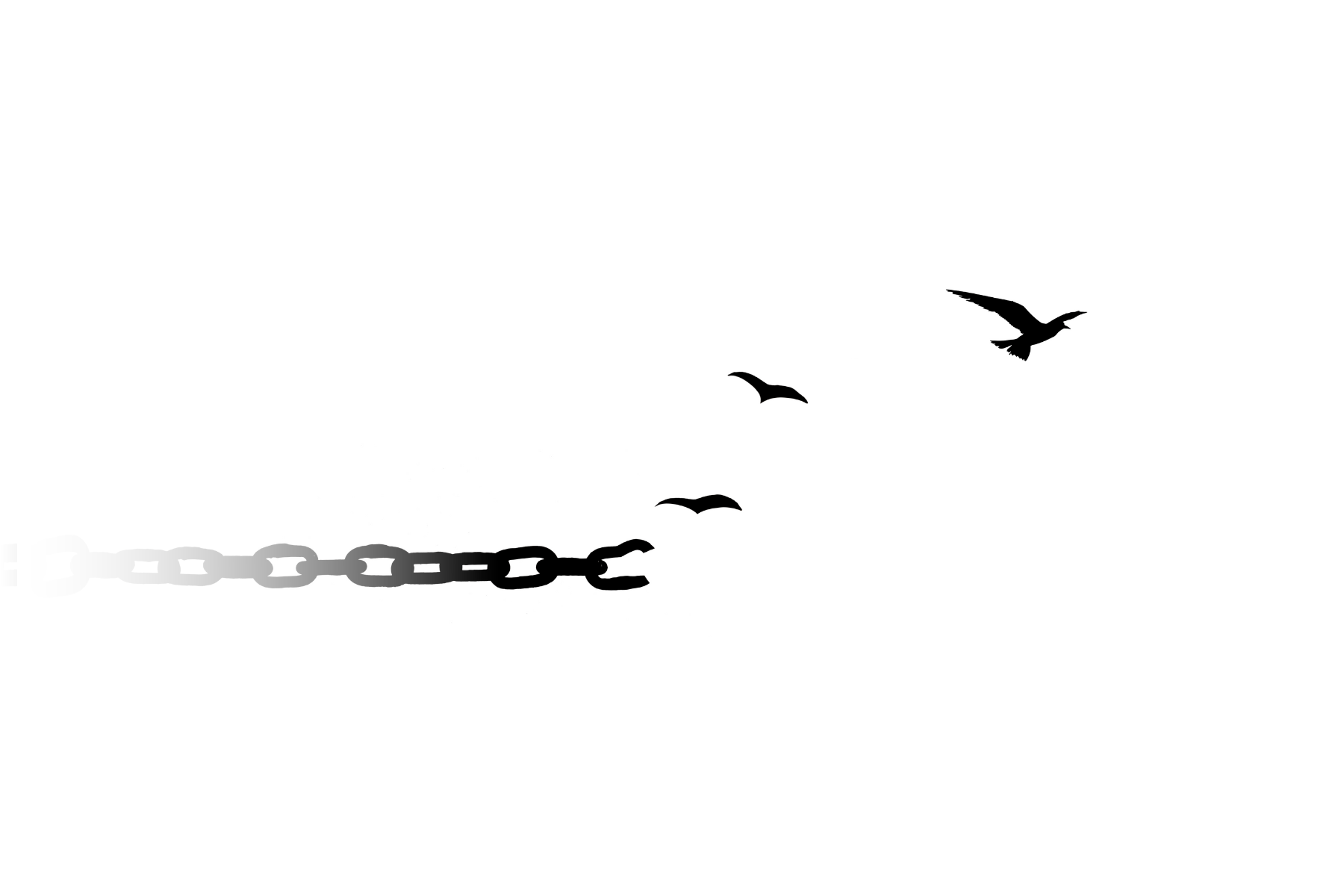 Birds and chain